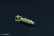 Brengun BRL72246 - US GP 100lb AN-M30A1 bombs (10pcs)