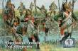 WATERLOO 1815 AP041 - Napoleonic french foot dragoons in 1:72