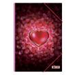 McNeill 6007188000 - Gummizugmappe A3 HEARTBEAT