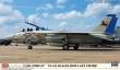 Hasegawa 602406 - 1/72 F-14D Tomcat, VF 213, Blacklions last cruise