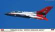 Hasegawa 602456 - 1/72 Tornado GR Mk 1, Defence Research Agency