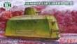 Unimodels UMT662 - 1:72 Armored car-carrier (DTR)