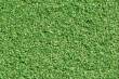 Auhagen 60824 - Streumaterial hellbraun