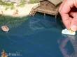 Noch 60870 - 2K-Wasser-Gel transparent