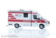 Rietze 61649 - Strobel RTW Tierrettung Essen e.V., 1:87