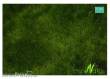 Silhouette 621-22H - Auenwiese / Fertileplain meadow 30x50cm Sommer / summer