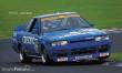 Hasegawa 621127 - 1/24 Calsonic Skyline GTS-R R31