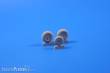 CMK 129-Q48115 - 1:48 Dornier Do 335B Wheels (TAM)