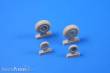 CMK 129-Q72121 - 1:72 Canberra PR.9 Wheel set