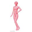 Hasegawa 629105 - 1/24 Combanion Girls, 2 Bausätze