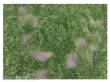 Silhouette 631-32S - Wildwuchs hoch / Wild growth high 26x17cm Sommer / summer