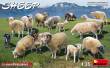 MiniArt 38042 - Sheep