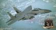 Hasegawa 652468 - 1/72 ACE COMBAT F-15E Strike Eagle