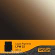 Lifecolor LPW22 - Carriage Grime 22 ml