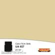 Lifecolor NUA657 - Light Teck Wood 22 ml