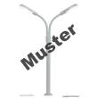 Viessmann 6623 - N Bausatz Peitschenleuchte, doppelt, 2 LEDs weiß