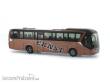 Rietze 69602 - Neoplan Jetliner Ernst Reisen, 1:87