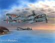 Special Hobby 100-SH48114 - Model 167F ´Glenn over French 1940/45´ in 1:48