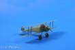 Special Hobby 100-SH48118 - Fokker D.V in 1:48