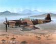 Special Hobby 100-SH48151 - Fairey Firefly FR Mk.I Foregin Post War in 1:48