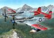 Special Hobby 100-SH72203 - F-82H TwinMustang ´Alas. All Weather F.´ in 1:72
