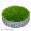 RTS 70202-1 - RTS Gras-Flock Sommer 2 mm - 50 g Beutel
