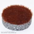 RTS 70512-1 - RTS Gras-Flock braun 12 mm - 50 g Beutel