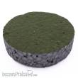 RTS 70800-1 - RTS Gras-Flock Fichte 0,5 mm - 50 g Beutel