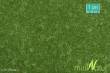 Silhouette 710-22G - Rasen kurz / Short lawn ca. 63x50 cm Sommer / summer