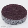 RTS 71191-0 - Micro-Turf - blutbuche