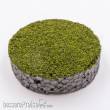 RTS 71850 - RTS Nano-Turf green blend - 15 g Beutel