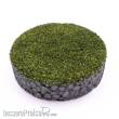 RTS 71851-3 - MicroTurf - green blend