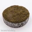 RTS 71870 - RTS Nano-Turf Nadelwald - 15 g Beutel
