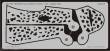 Eduard Accessories XF561 - Bf-109E Schablone große Flecken