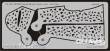 Eduard Accessories XF563 - Bf-109ESmall Blotch mask-etch
