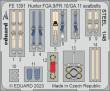 Eduard Accessories BIG49391 - 1/48 Hunter FGA.9 1/48