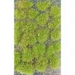 Silhouette 727-71S - Grasflecken mit Unkraut / Grass staind with weed ca 9x15cm Frühling / spring