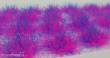 Silhouette 727-81MS - Grasbüschel / Grass tufts ca 4x15cm Space blue/pink