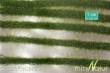 Silhouette 738-22 - Karststreifen Sommer NZ/TT/H0/0 ca. 336 cm