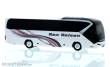 Rietze 73824 - Neoplan Tourliner ´16 Rex Reisen Wegberg, 1:87