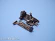 Aires 4052 - 1:48 Junkers Ju-88A-4 Cockpit Super Detailset.