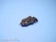 Aires 4099 - 1:48 Rolls Royce Merlin Mk.22 Motor