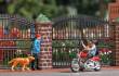Busch 7861 - Action Set: US Motorrad mit Biker