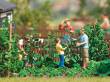 Busch 7877 - Action Set: Gurkenernte