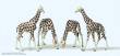 Preiser 79715 - N Giraffen