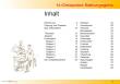 Fleischmann 81399 - Gleisplanhandbuch für FLEISCHMANN N (Schotterbettgleise)