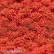 RTS 84405 - RTS Blütenbüschel rot 4-12 mm, 148 x 210 mm