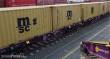 B-Models 90.502 - Containertragwagen-Doppeleinheit, 4x 20´-Container MSC
