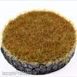 RTS 90606-1 - RTS Gras-Flock Wintergras 6 mm - 50 g Beutel