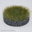 RTS 90702-1 - RTS Gras-Flock Heu 2 mm - 50 g Beutel